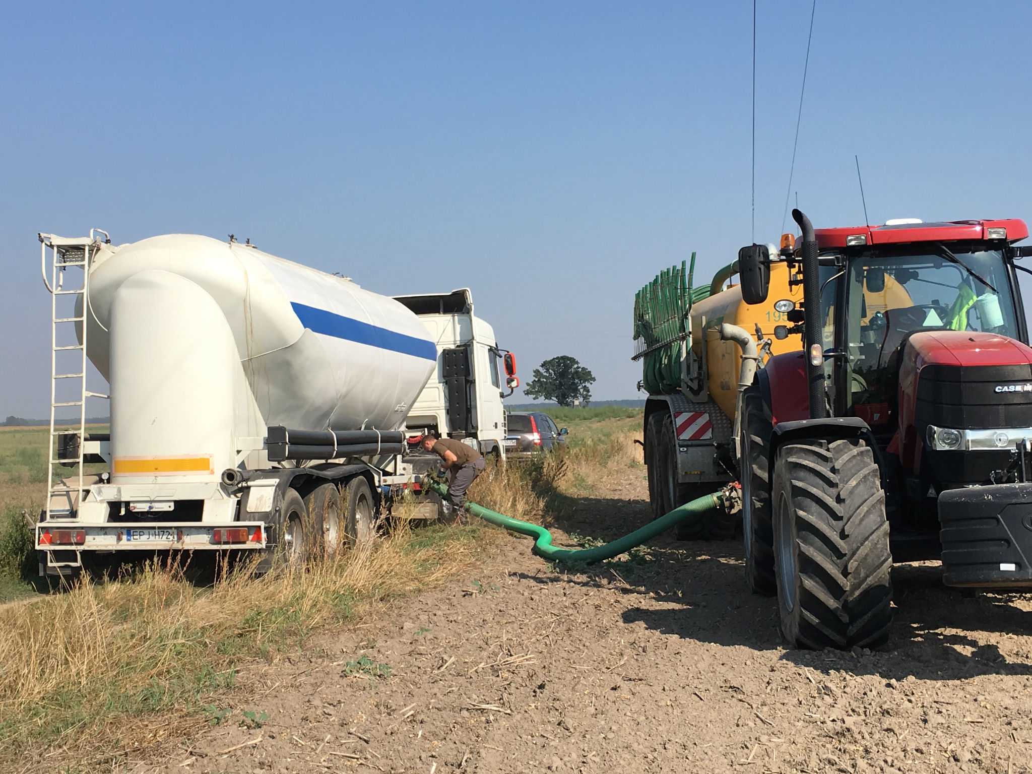 Zdjecie
